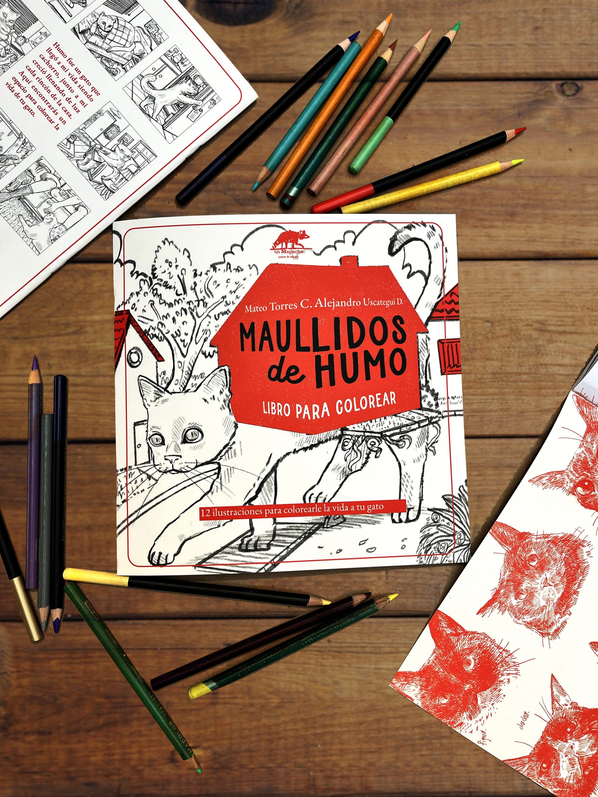 MAULLIDOS DE HUMO LIBRO PARA COLOREAR