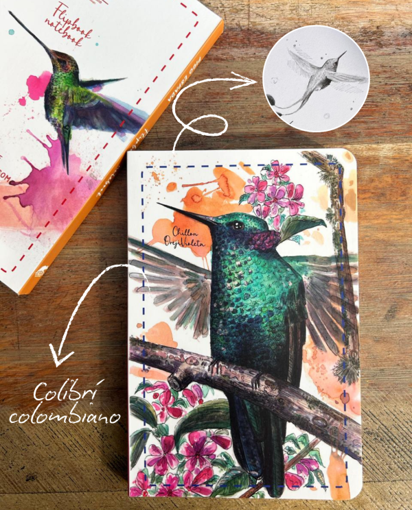 ✨ Libretas inspiradas en el colibrí Brillante chillón Oreji Violeta ✨