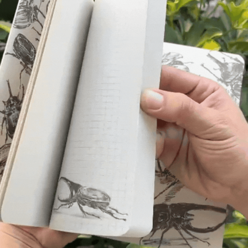 Libreta escarabajo Dynastes - Imagen 4