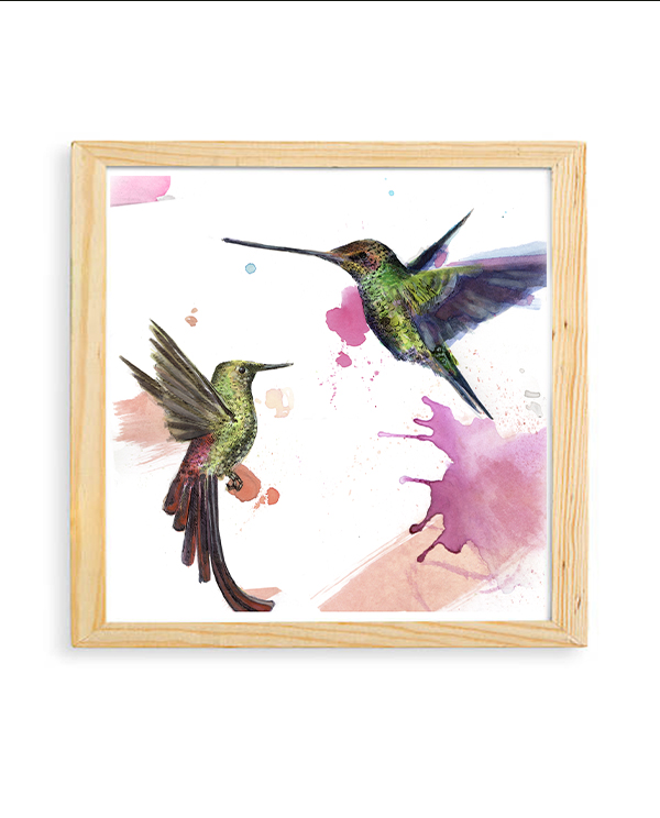 LAS MANCHAS Y LOS COLIBRÍES