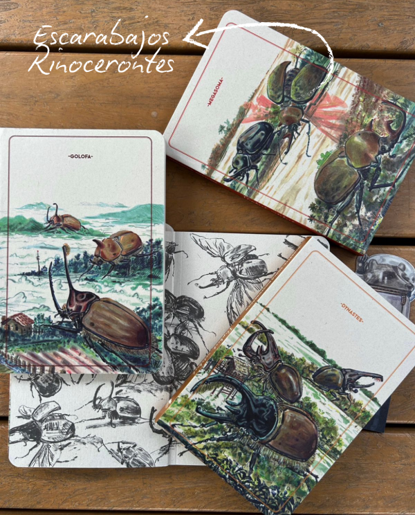 Combo Libretas escarabajos