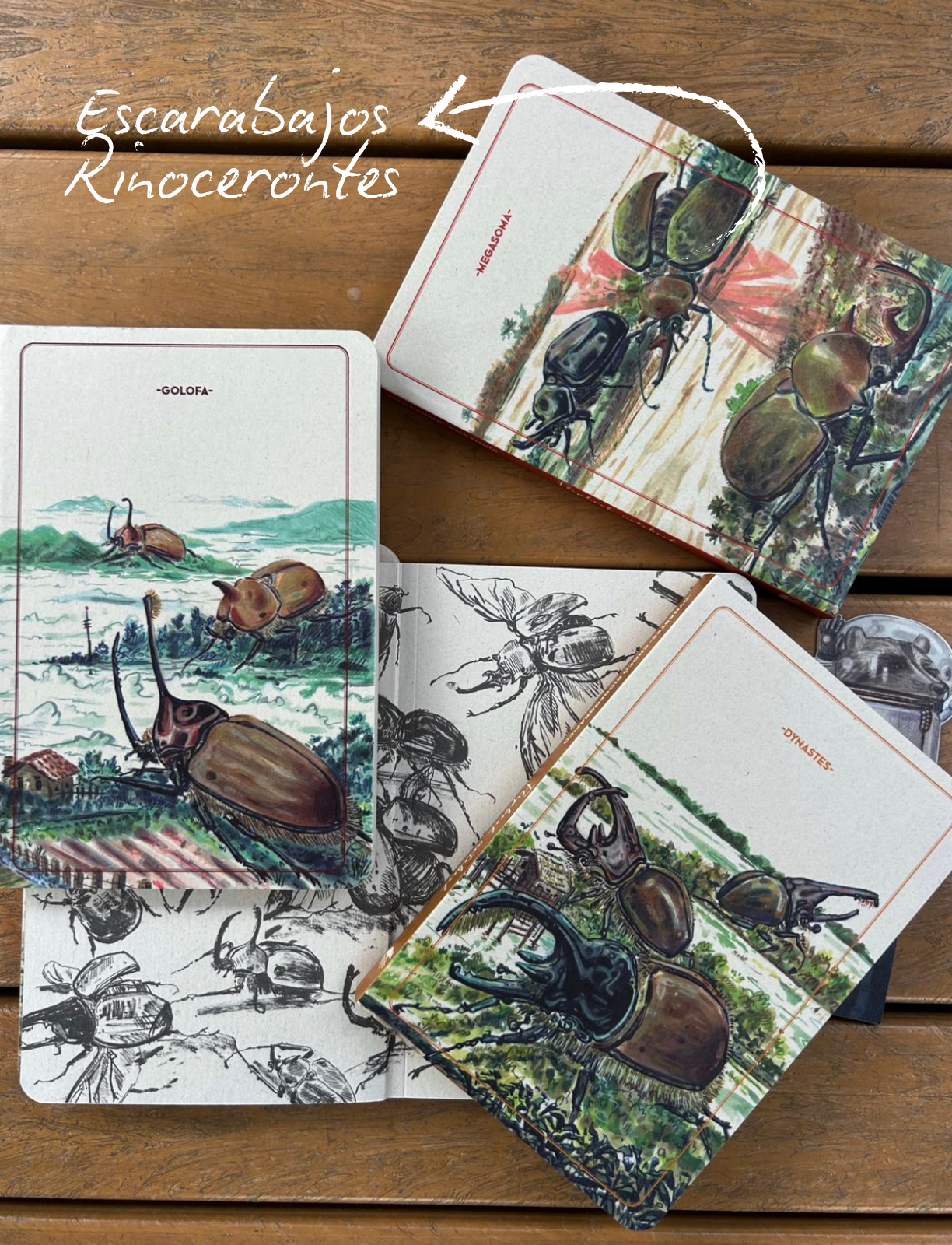 Combo Libretas escarabajos