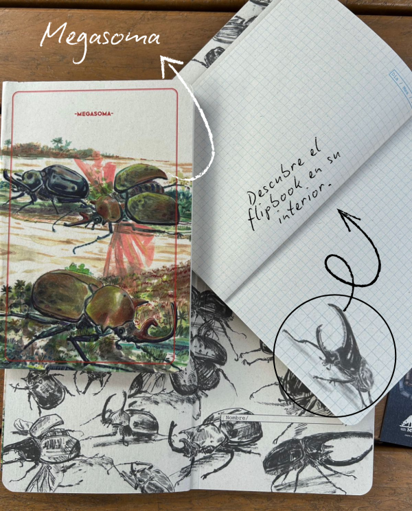 Libreta Megasoma