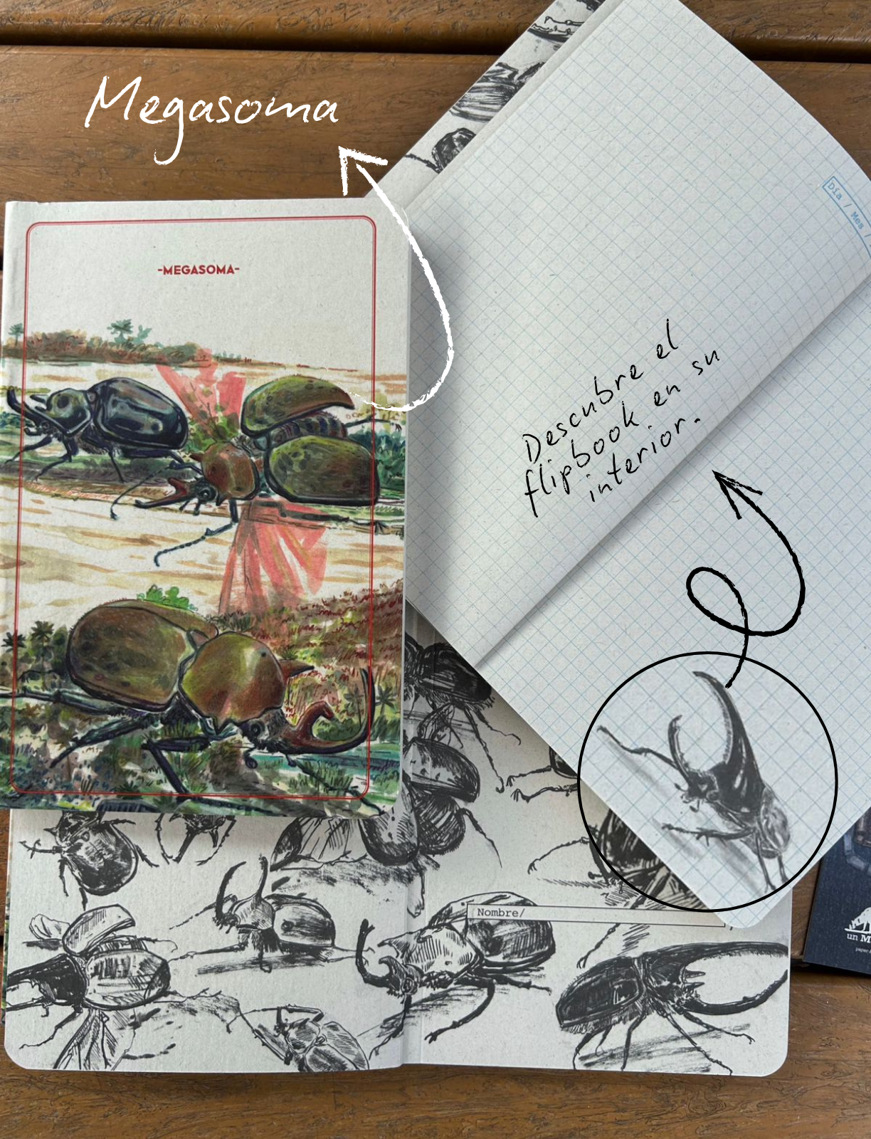 Combo Libretas escarabajos - Imagen 3