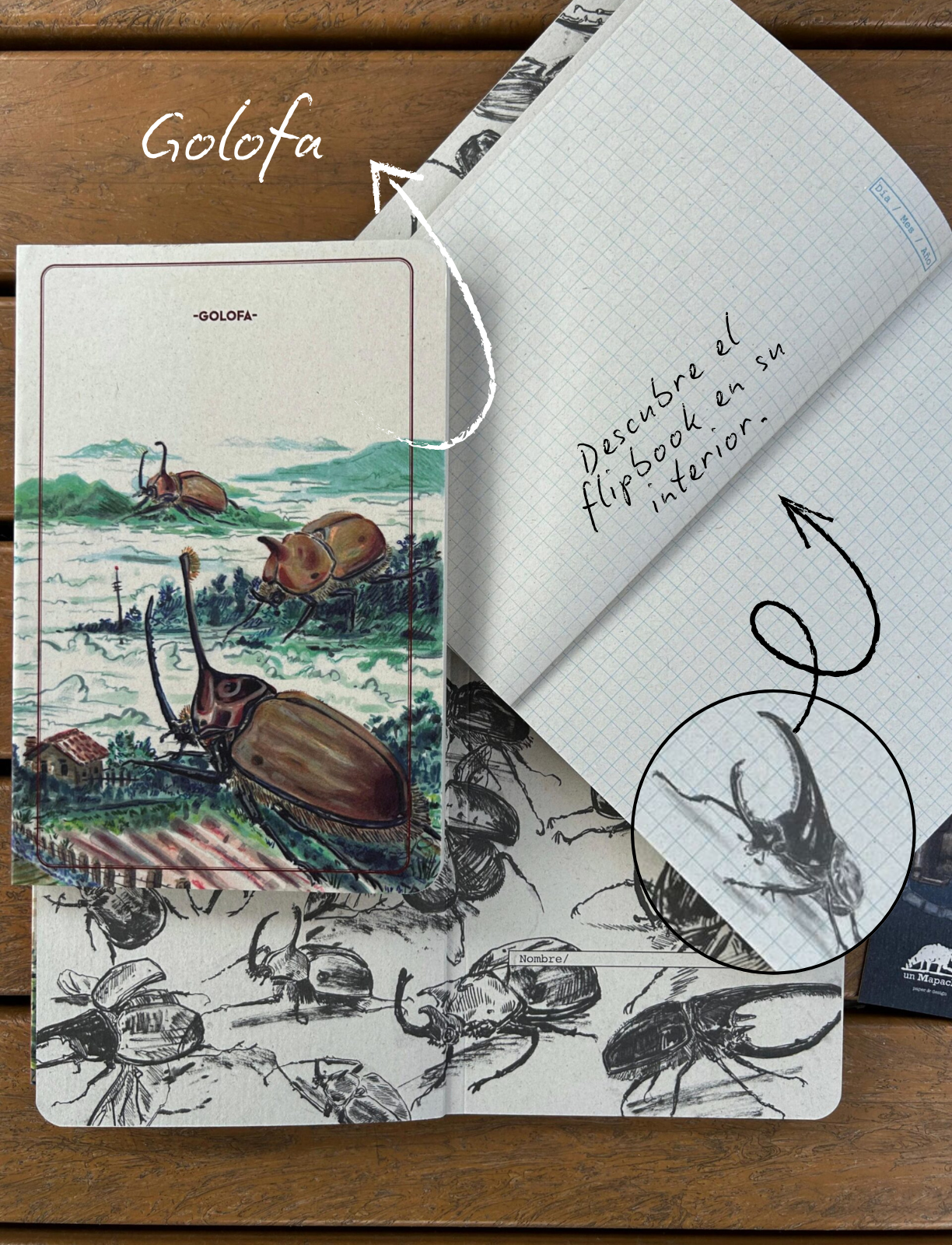 Combo Libretas escarabajos - Imagen 5