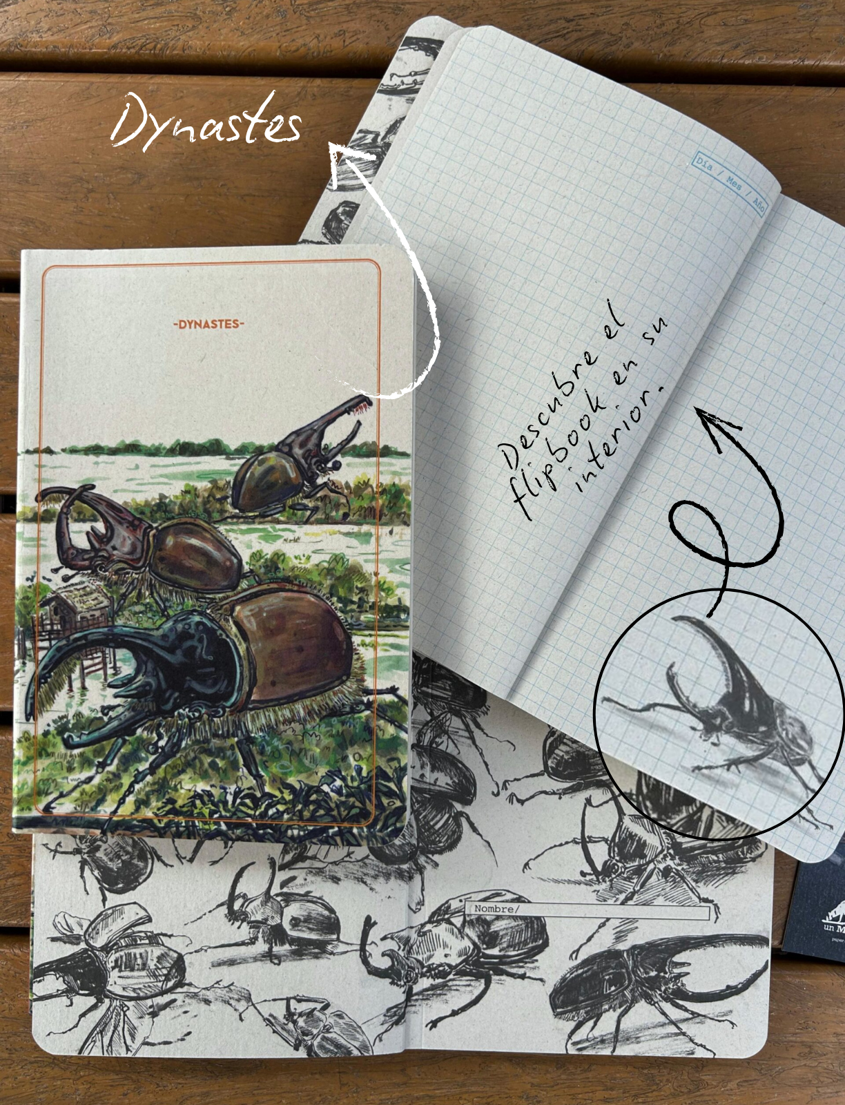 Combo Libretas escarabajos - Imagen 4