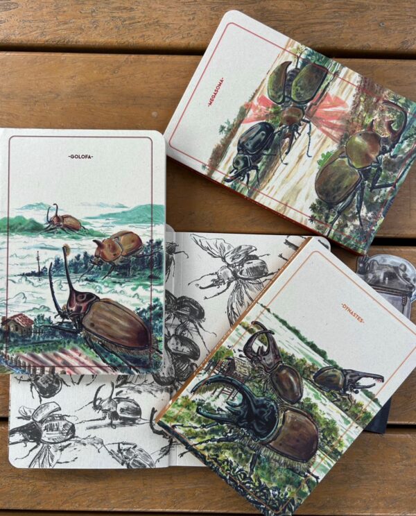 Combo Libretas escarabajos