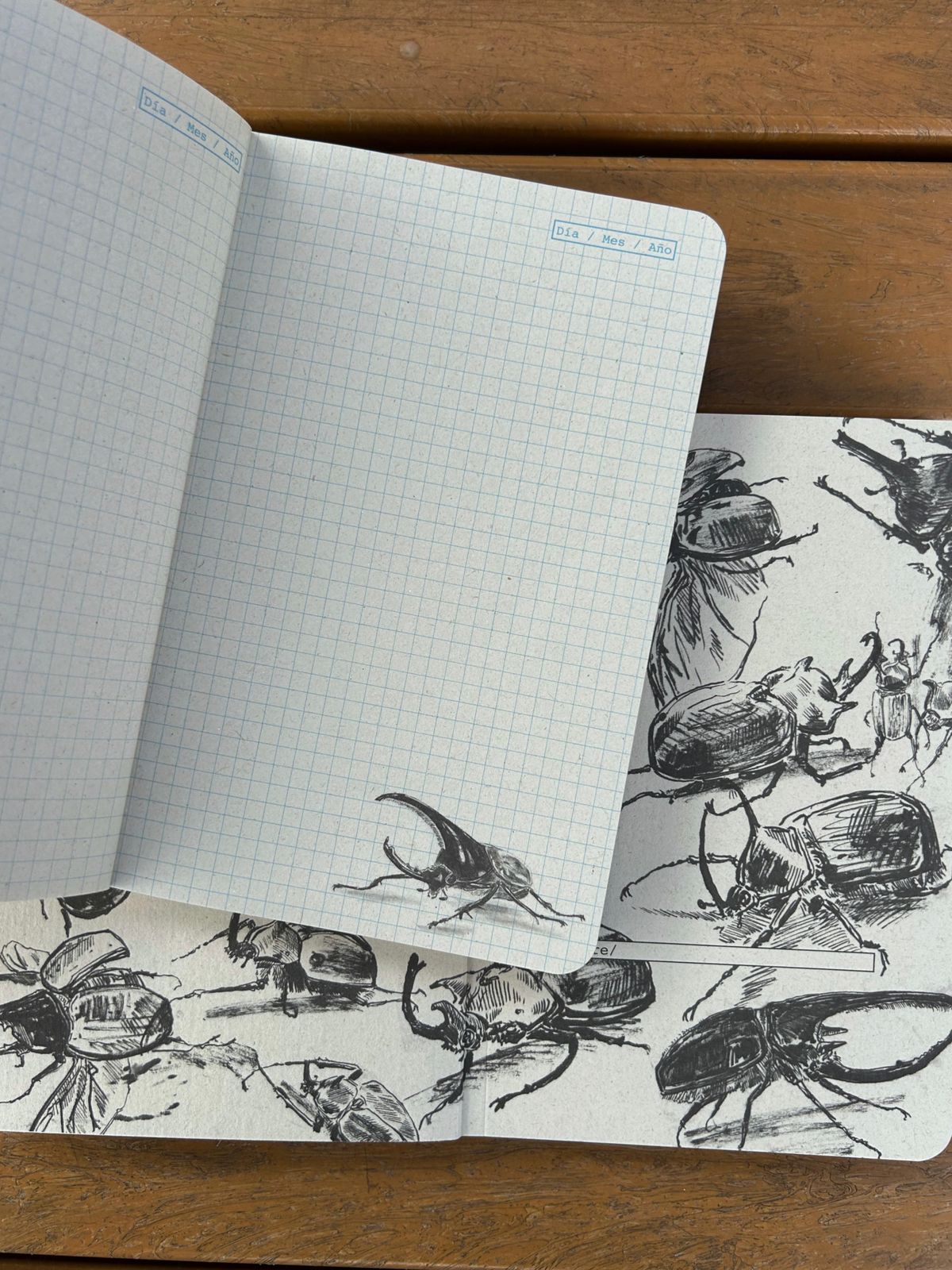 Libreta Megasoma - Imagen 2