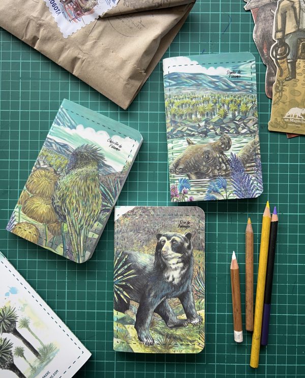 LIBRETAS DE PARAMO