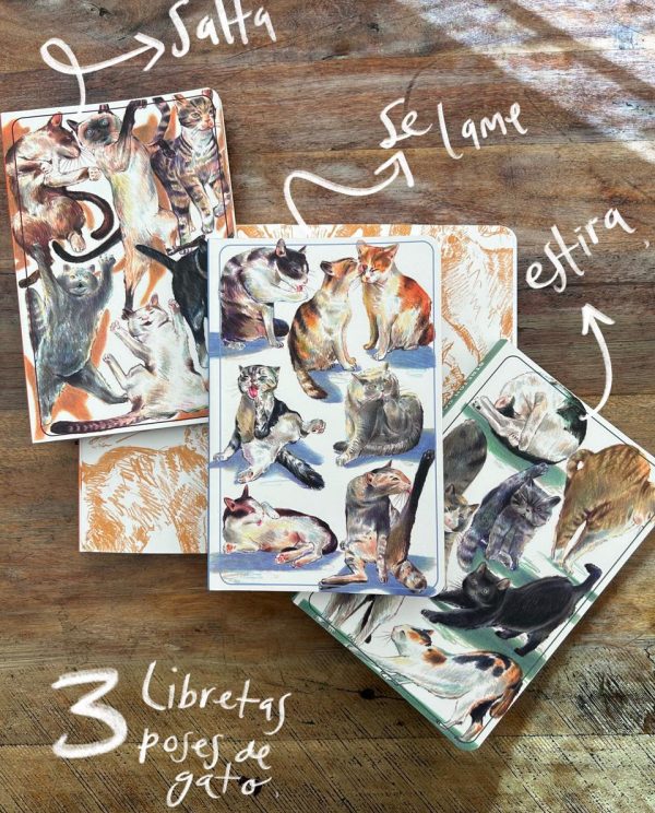 Kit 3 Libretas Gaticos en diferentes posiciones