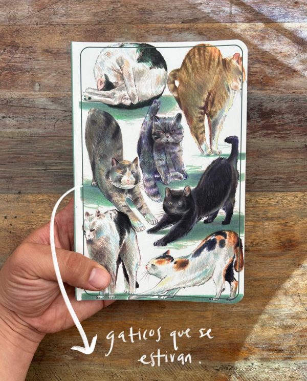 Gaticos que se estiran