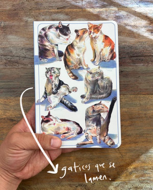 Gaticos que se lamen