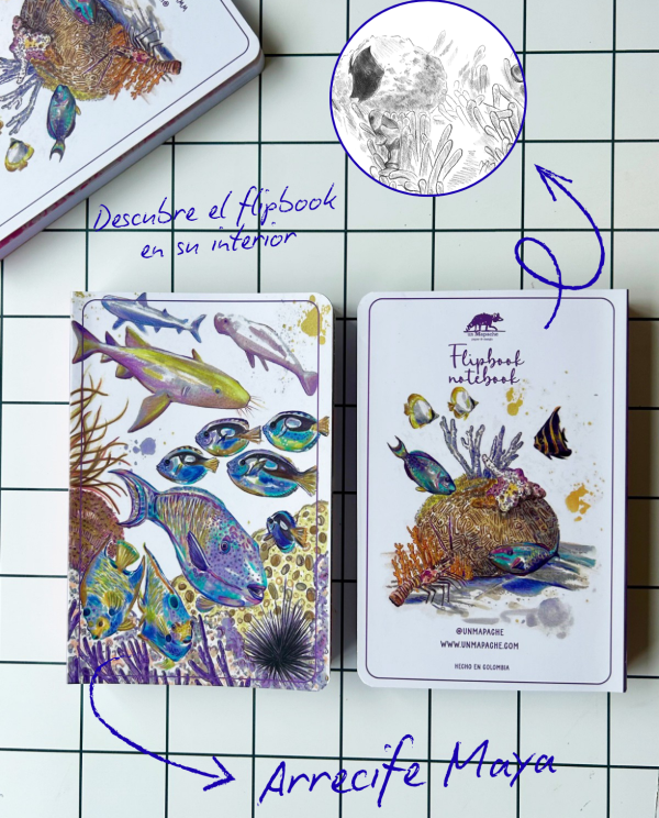 🌊 Libreta arrecifes. Arrecife Maya🌊