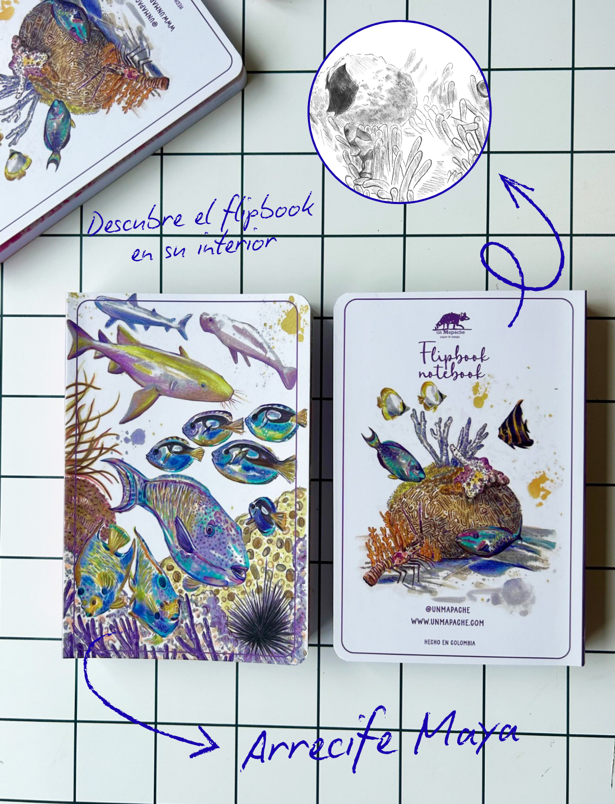 🌊 Combo libretas arrecife.🌊 - Imagen 5