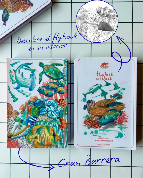 🌊 Libreta arrecifes. Gran Barrera 🌊
