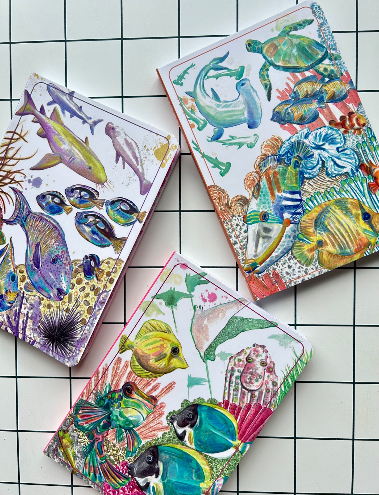 🌊 Libretas inspiradas en arrecifes de coral 🌊