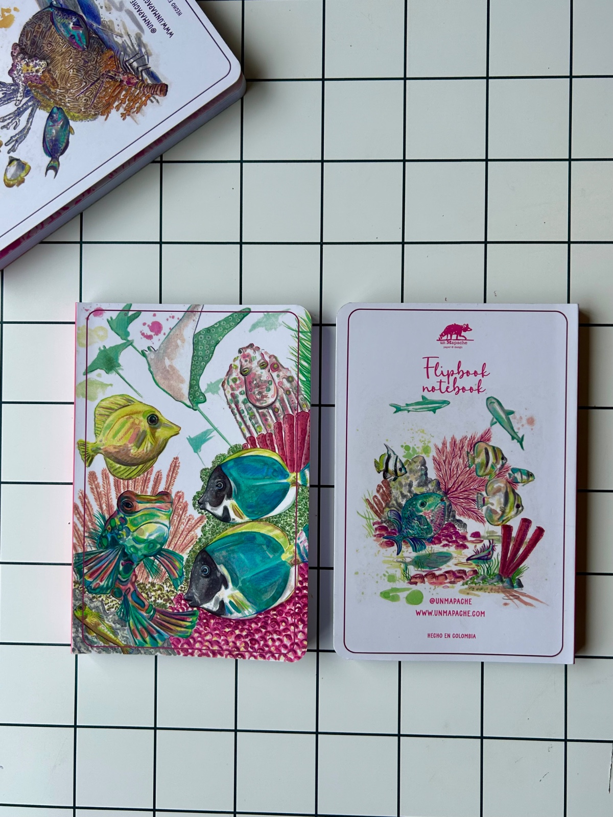 🌊 Libreta inspirada en el Triángulo de Coral 🌊